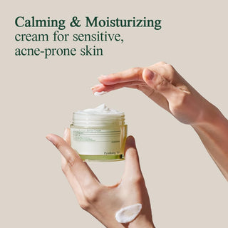 Pyunkang Yul Calming Moisture Barrier Cream