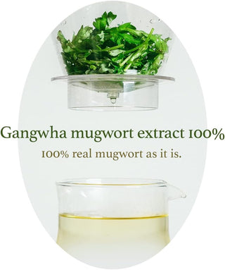 I'm from Mugwort Mask Mini 30g