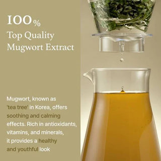 I'm from Mugwort Essence Mini